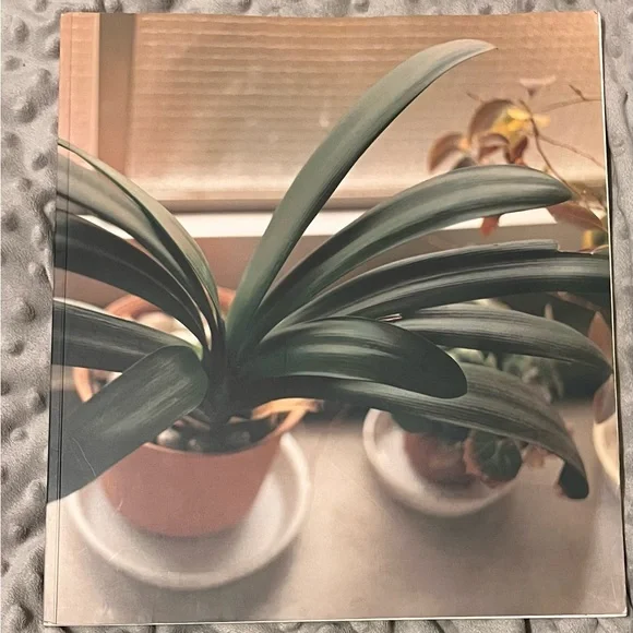 RARE!! MASAFUMI SANAI "IKITEIRU" PHOTOGRAPHY BOOK - Picture 1 of 6